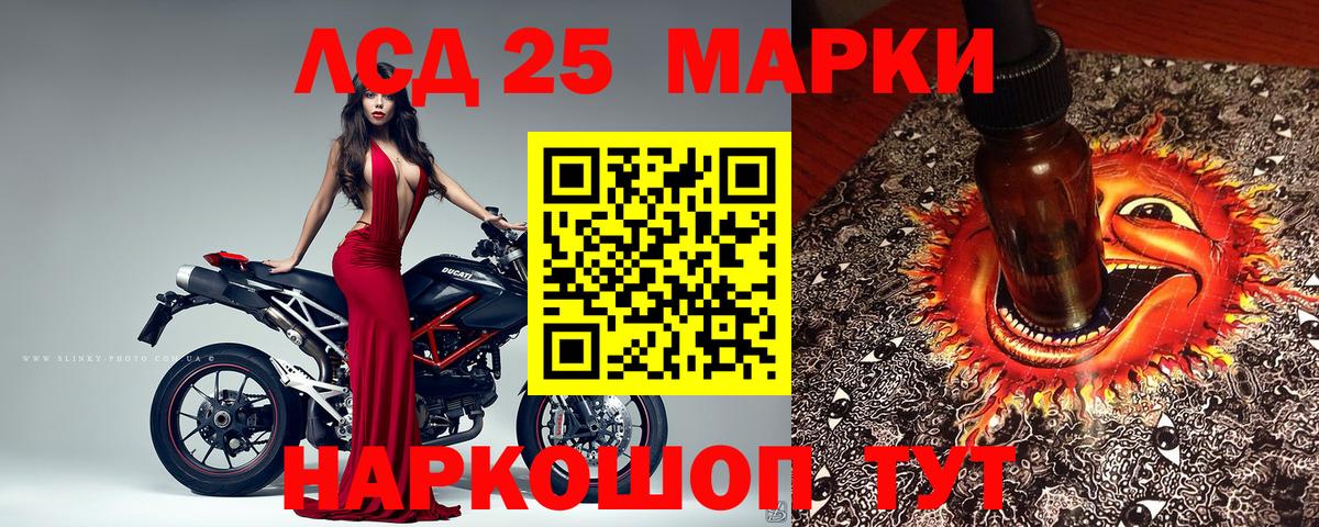 A PVP Губаха