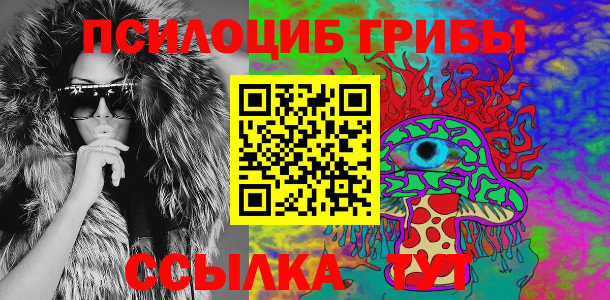 Галлюциногенные грибы Psilocybe Губаха