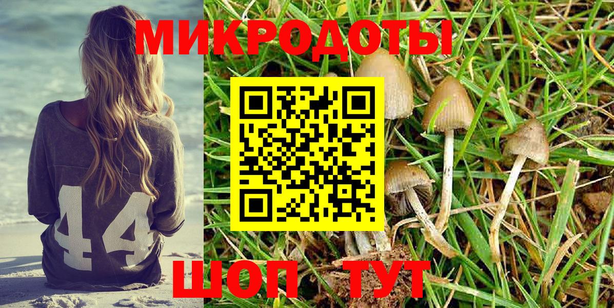 Псилоцибиновые грибы MAGIC MUSHROOMS  Галлюциногенные грибы GOLDEN TEACHER  Губаха  Вход с VPN 