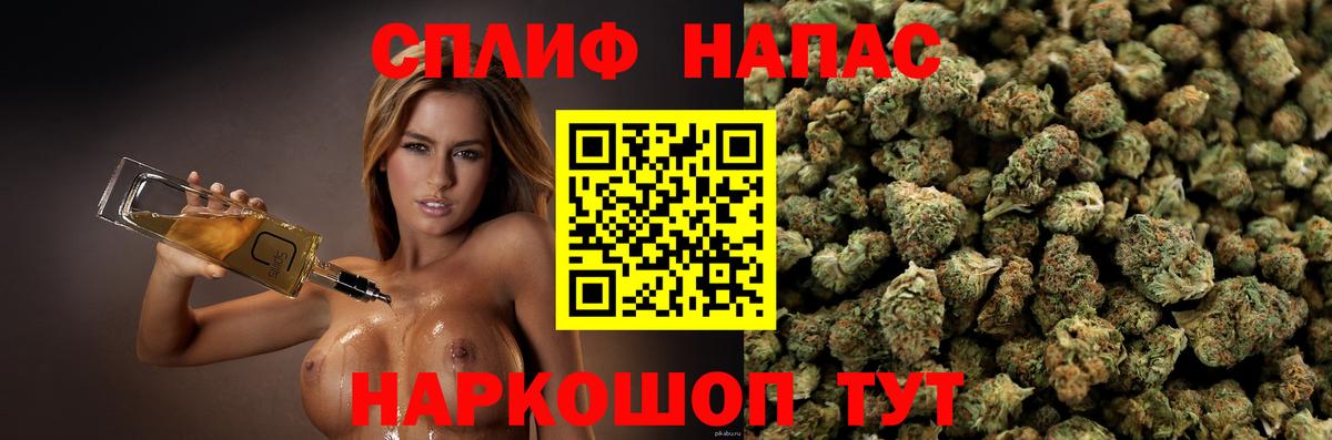 Губаха  Бошки марихуана ГИДРОПОН  Шишки марихуана семена  Марихуана план  Вход с VPN  Конопля планчик 